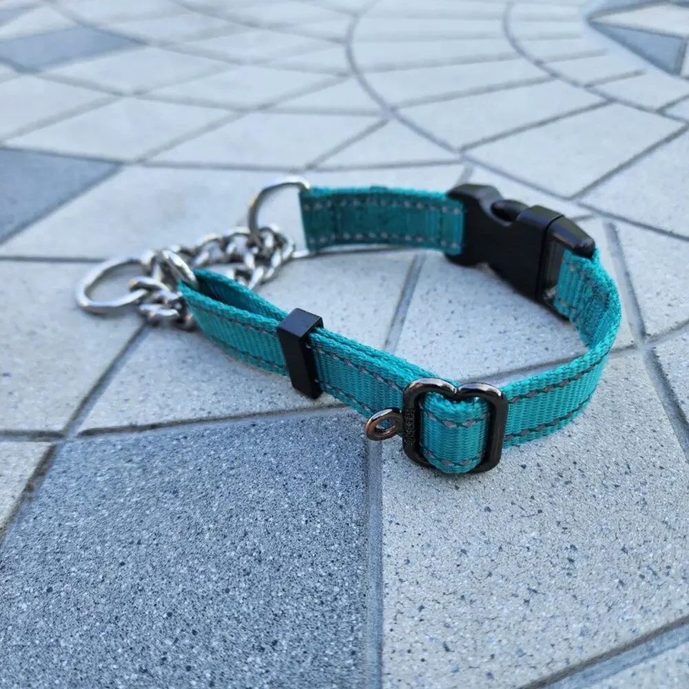 Max and Neo Stainless Steel Chain Reflective Nylon Martingale Collar